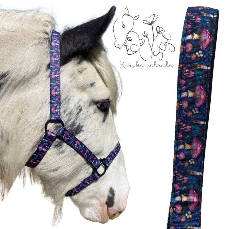 Ohlávka Tajemné houbičky